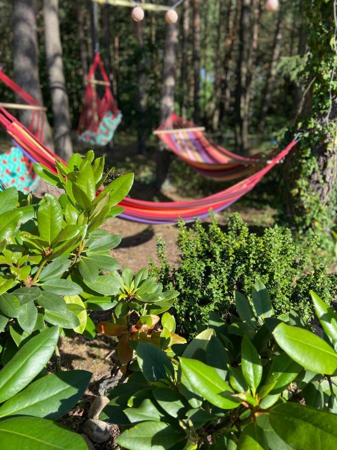 Boho Cudo Holiday home